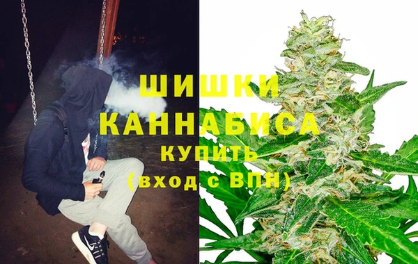 2c-b Алзамай