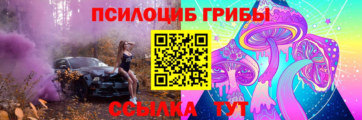 Галлюциногенные грибы MAGIC MUSHROOMS Кондопога