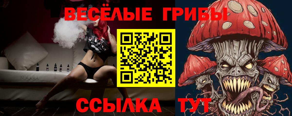 Псилоцибиновые грибы MAGIC MUSHROOMS  Псилоцибиновые грибы GOLDEN TEACHER  Вход с VPN  Кондопога 
