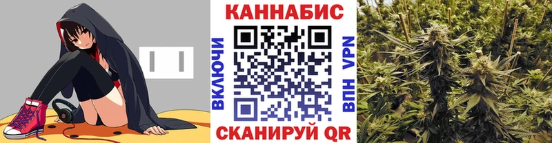 сколько стоит Кондопога Канабис сатива