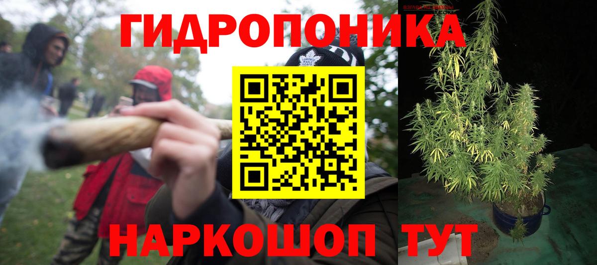 Канабис семена Кондопога